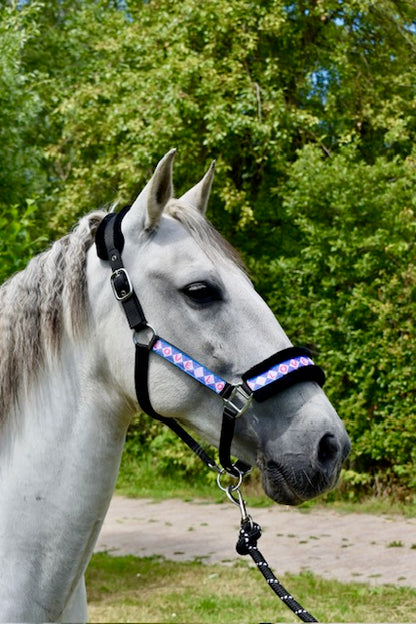 Happy Halsters x FMH - Love is Love Exclusive Halfter (bunt) verschiedene Farben