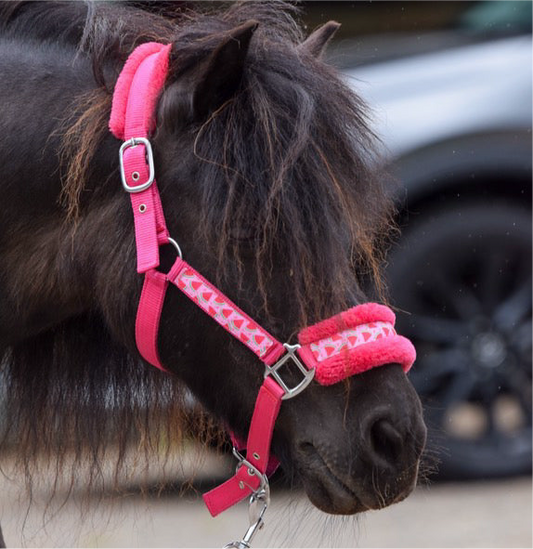 Happy Halsters - Fuchsia watermeloen halster bont