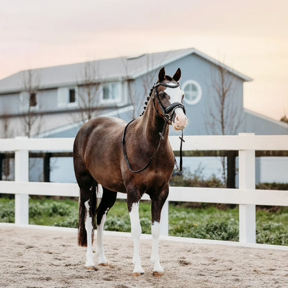 Lumiere/ Lumi Pony - Luxe Hanoverian hoofdstel 'Arcadia'