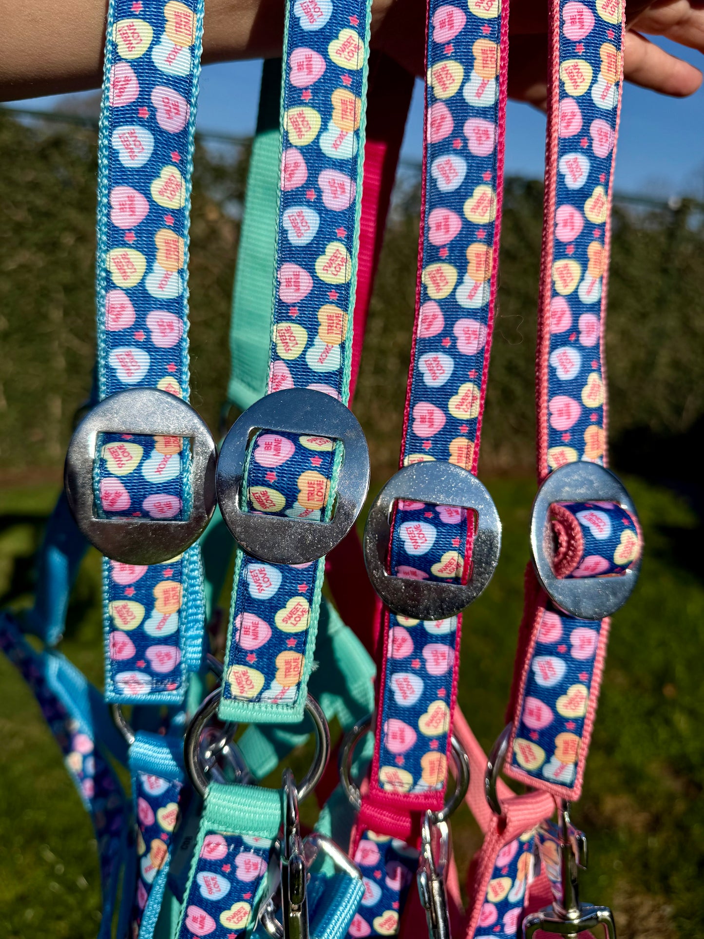 Happy Halsters x FMH - Cavezza Sweetheart Exclusive vari colori