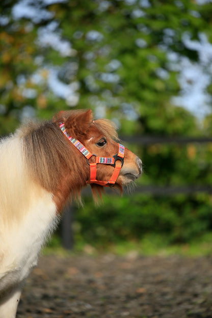 Happy Halsters x FMH - Colourful Panther Exclusive halter various colors
