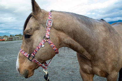 Schulz Equine - Halster Flower Bouquet