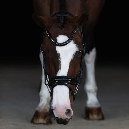 Lumiere/ Lumi Pony - Luxe Hanoverian hoofdstel 'Arcadia'