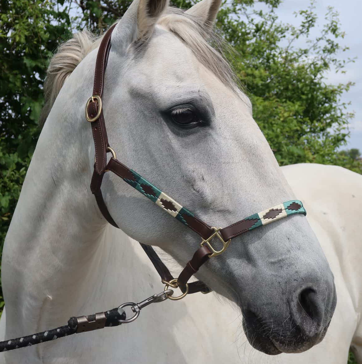 FMH - Licol polo en cuir Havana « Polo Vaquero Seafoam » émeraude/beige