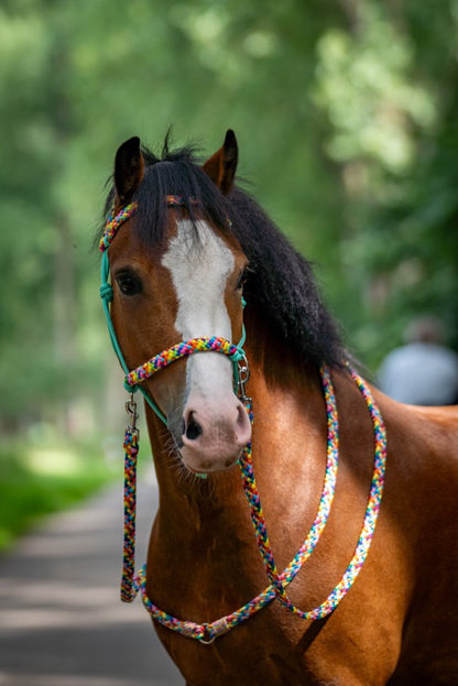 Het Paardenatelier - Touwhalster set rijhalster + teugels ‘Rainbow’ mint
