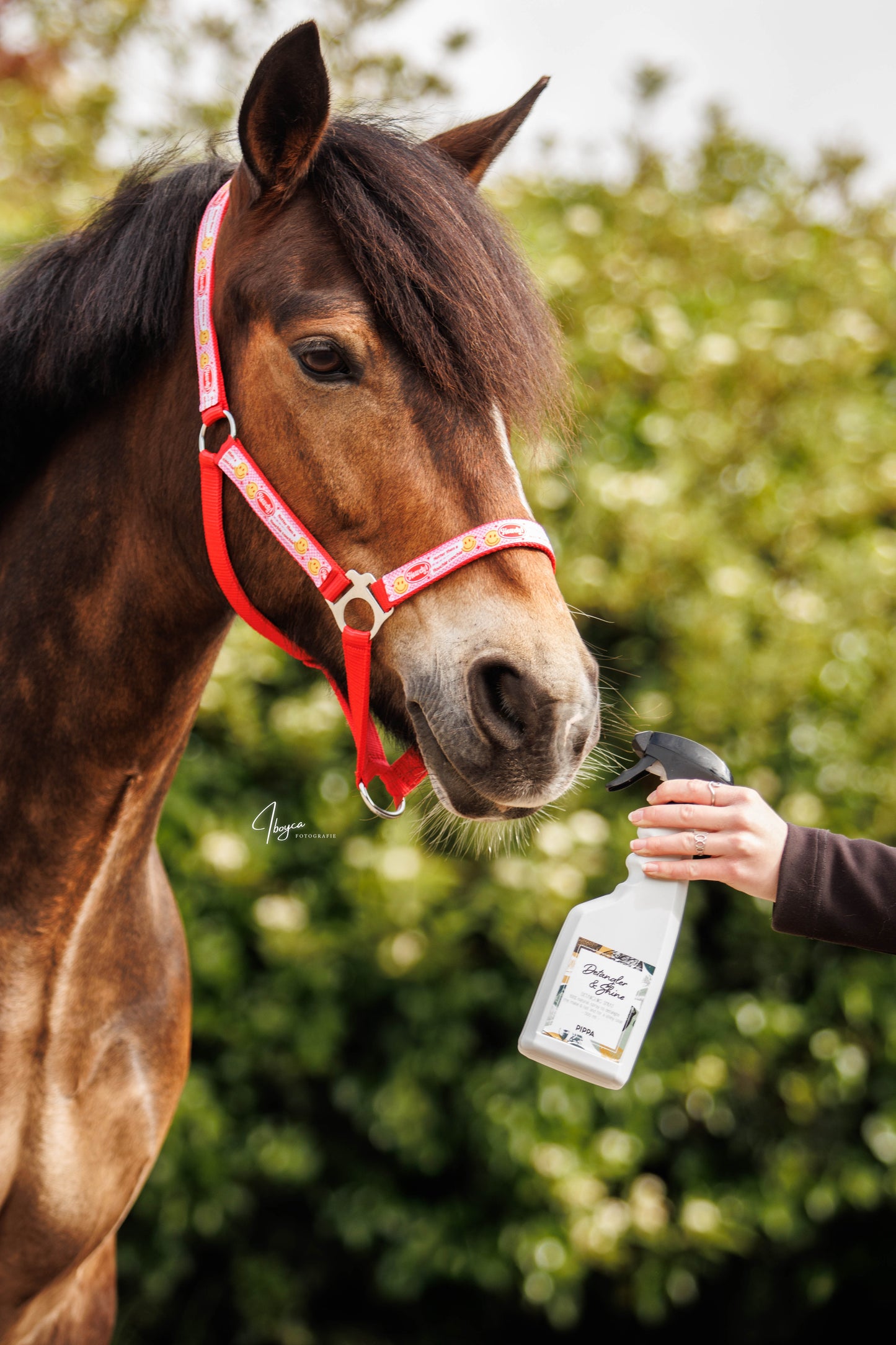 PIPPA - Spray districante e lucidante