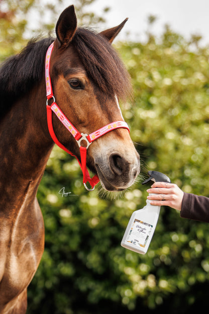 PIPPA - Detangler & Shine spray