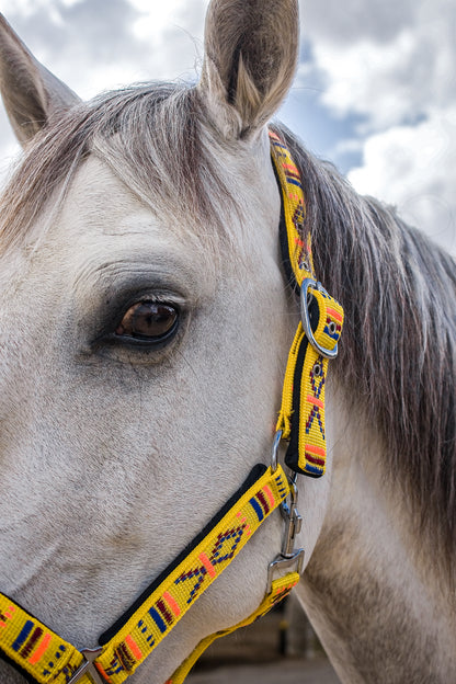 FMH - Geborduurd nylon halster met padding ‘Nomad Spirit Solar’