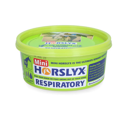 Horslyx - Leckstein Horslyx Mini