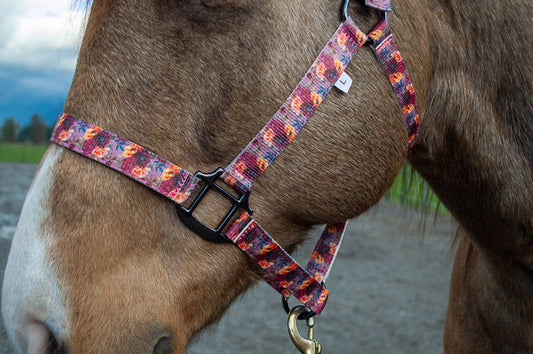 Schulz Equine - Halter Flower Bouquet