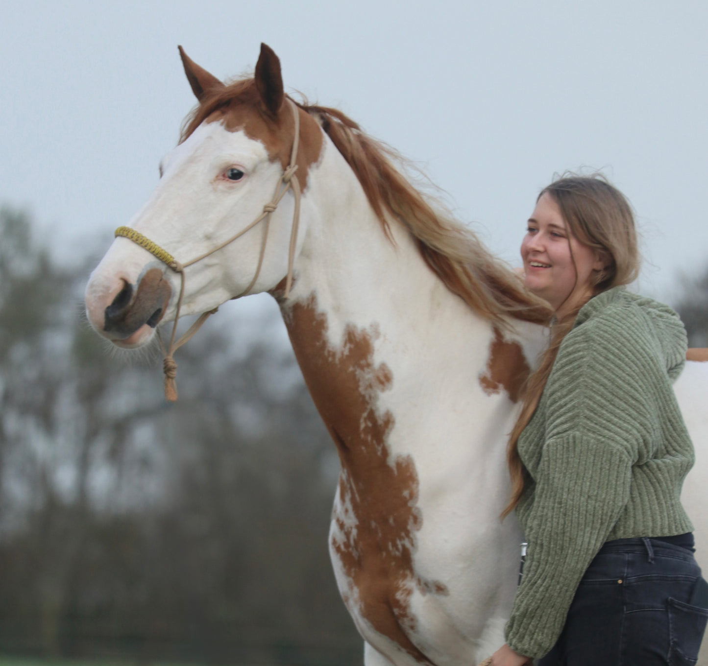Het Paardenatelier - Set de cabestro de cuerda Azar con cuerda de cabestro 2m beige con amarillo