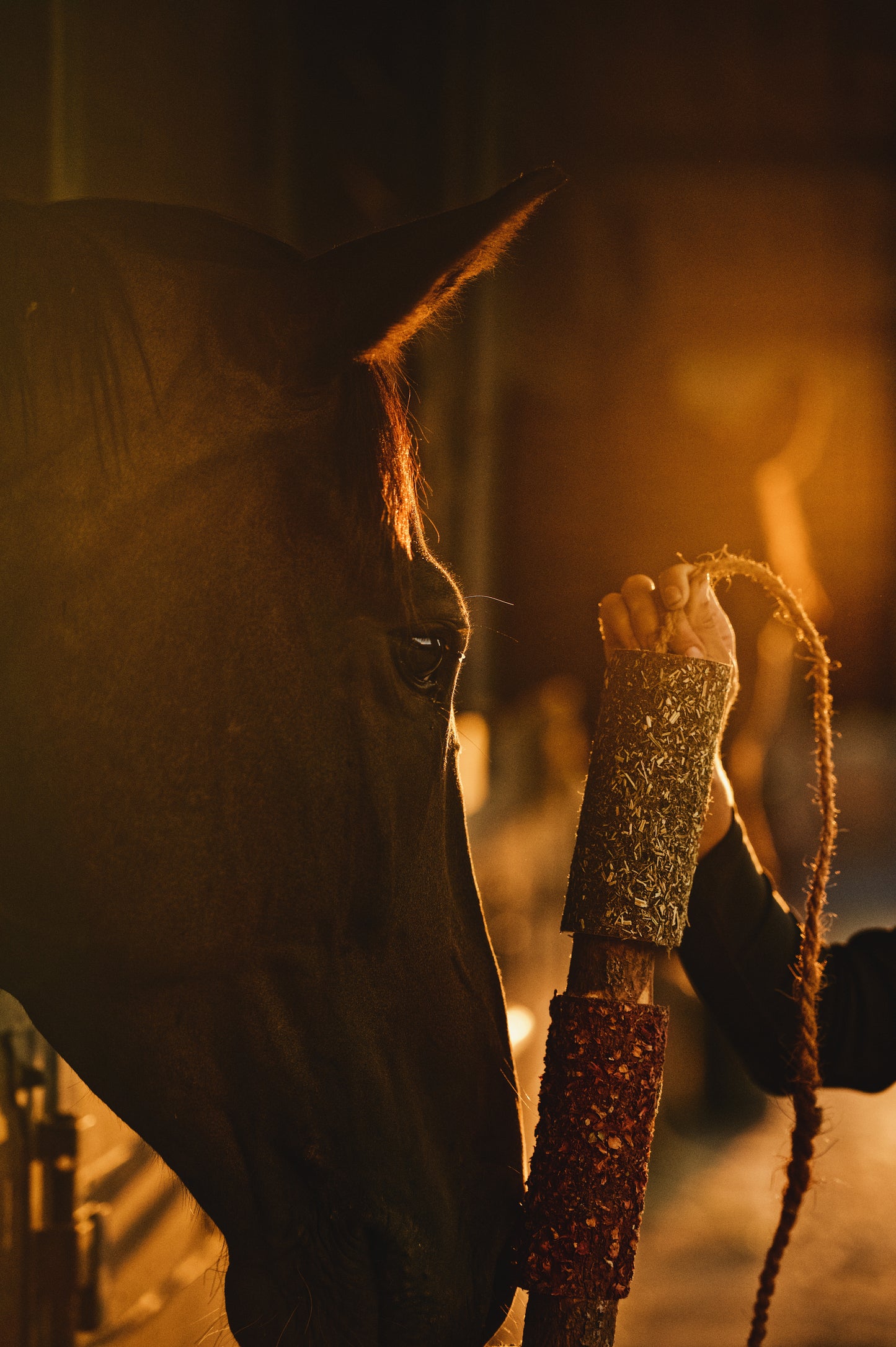 Herbi Horse - Houten speeltouw met kruiden (diverse)