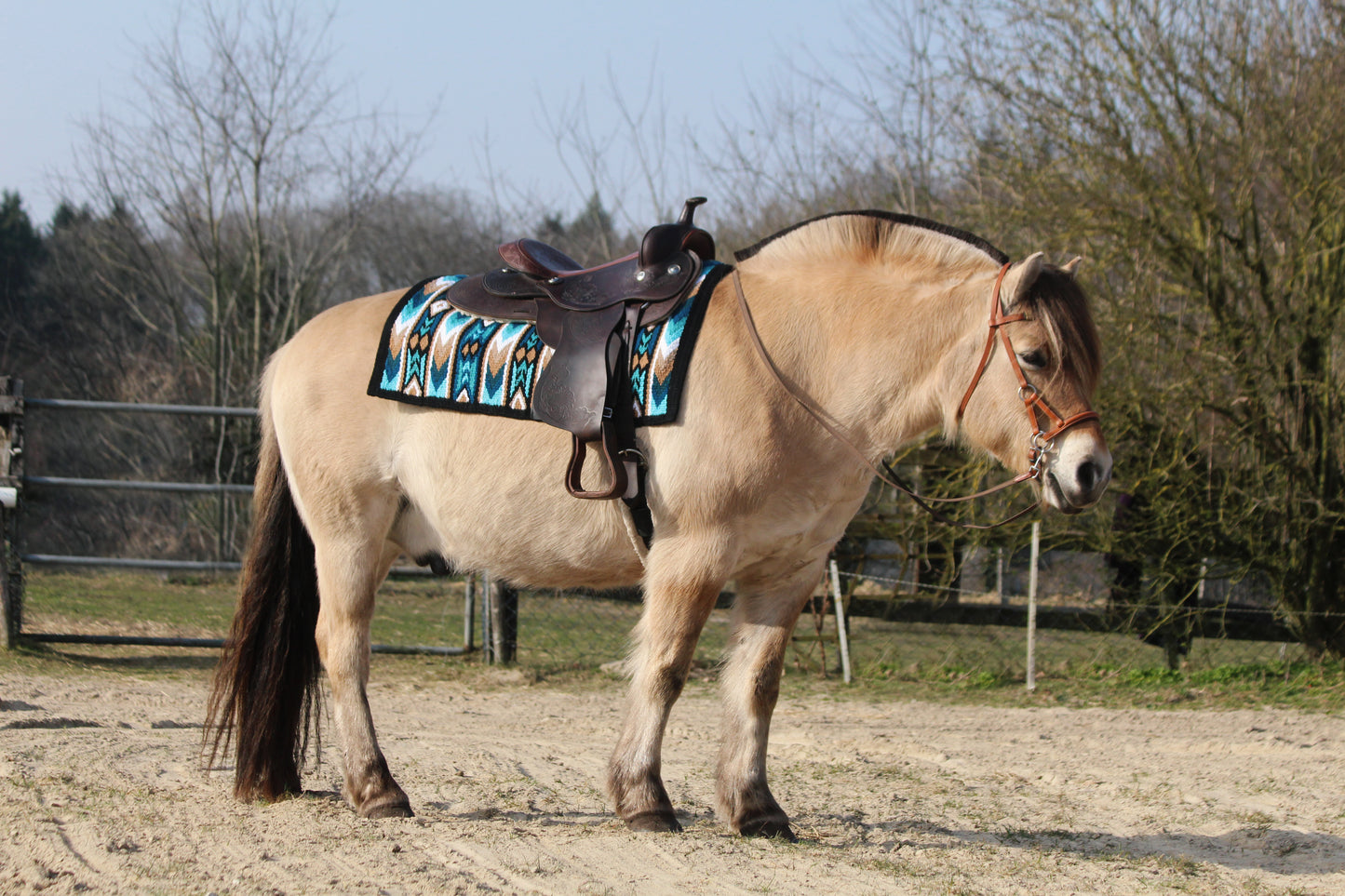 FMH - Mix & Match Bundel - Volledige Western set Showblanket + NeoPro boots -20%