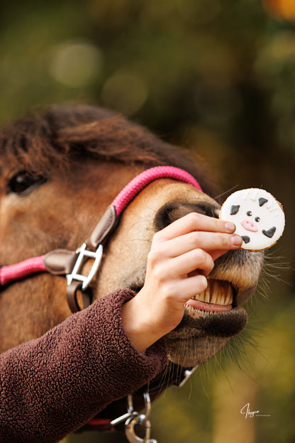 Konska Cukierenka - Pony Bueno Luxe Paardenkoekjes 2st. the Farm