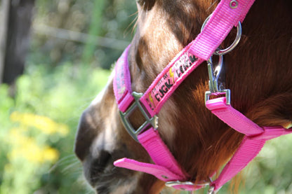FMH - Nylon roze halster ‘Fast as F*CK’