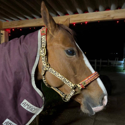 DWAM - Luxe buffellederen halster met luipaardprint en gekleurde details Gypsy Horse