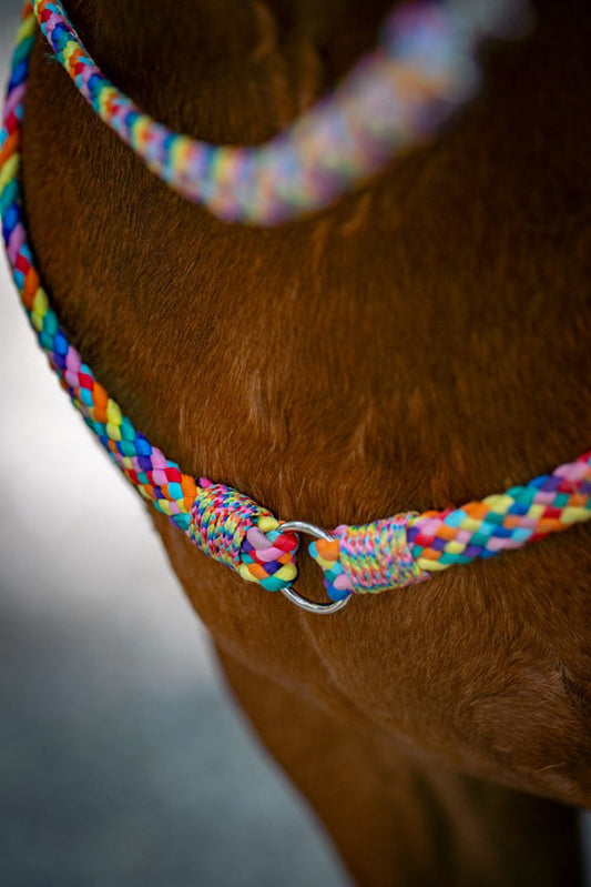 Horse Rope Shop - Neckrope ‘Rainbow’