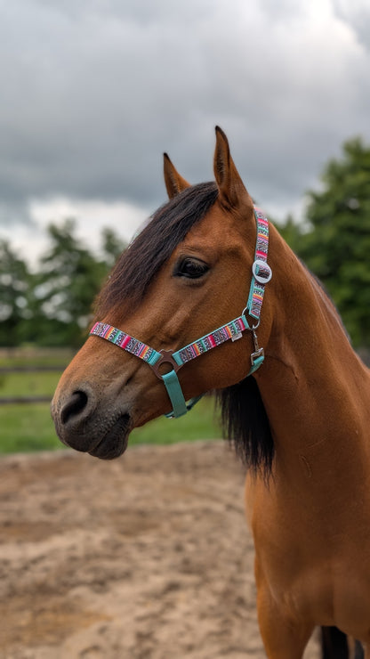 Happy Halsters x FMH - Colourful Panther Exclusive halter various colors