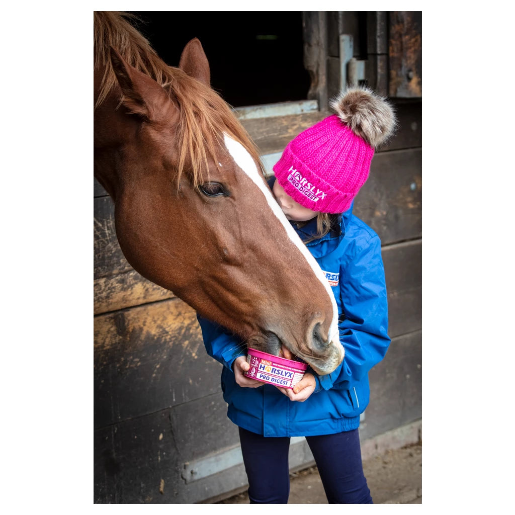 Horselyx - Liksteen Horselyx mini