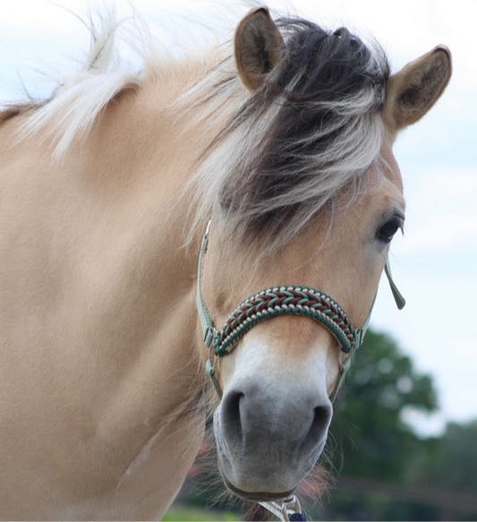Handgemaakte paardenhalsters - Geknoopt halster ‘Natural’ olijf/ bruin/ beige