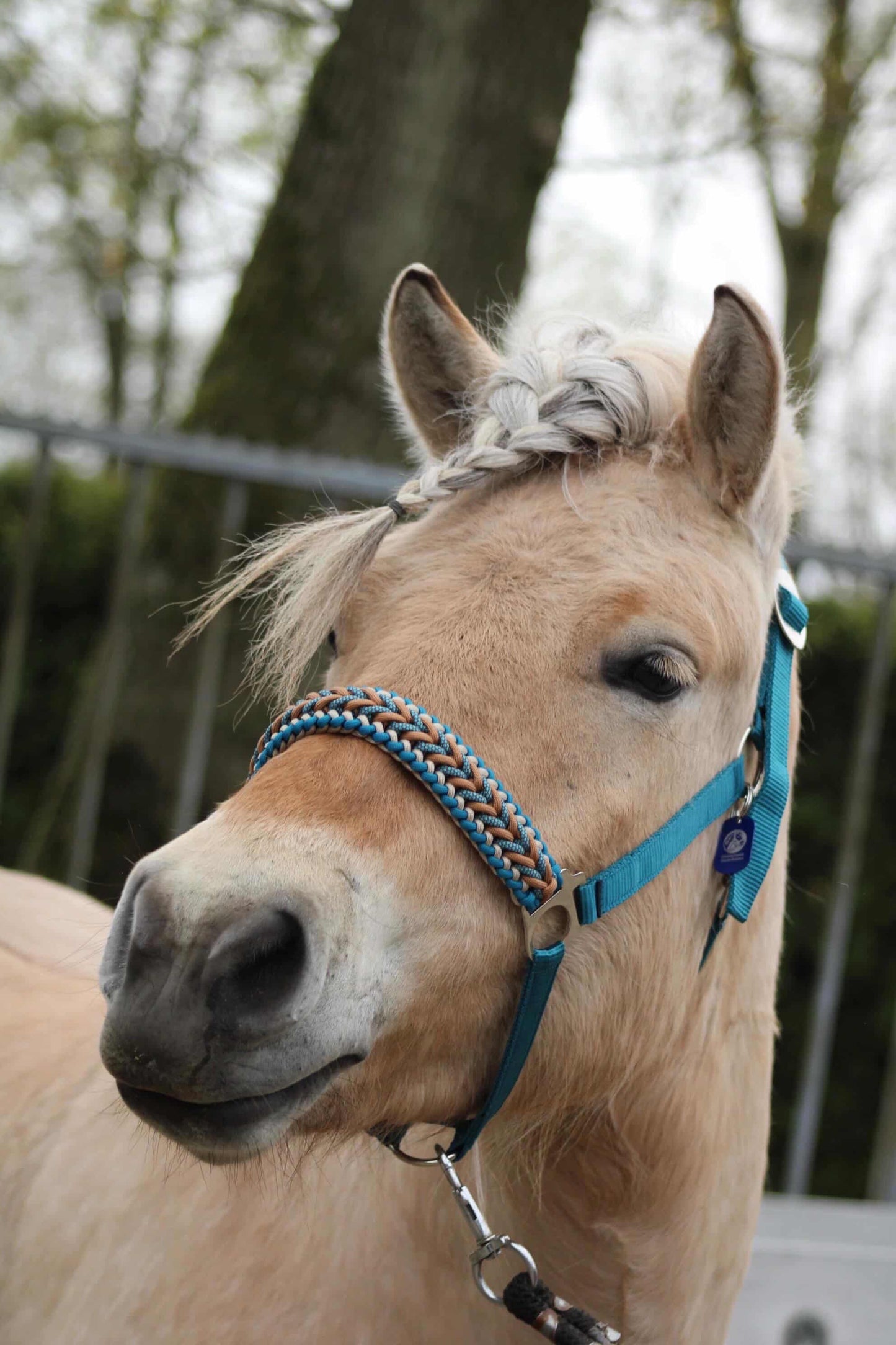 Handmade Horse Halters - Knotted Halter 'Teal Treasure' emerald/teal/caramel