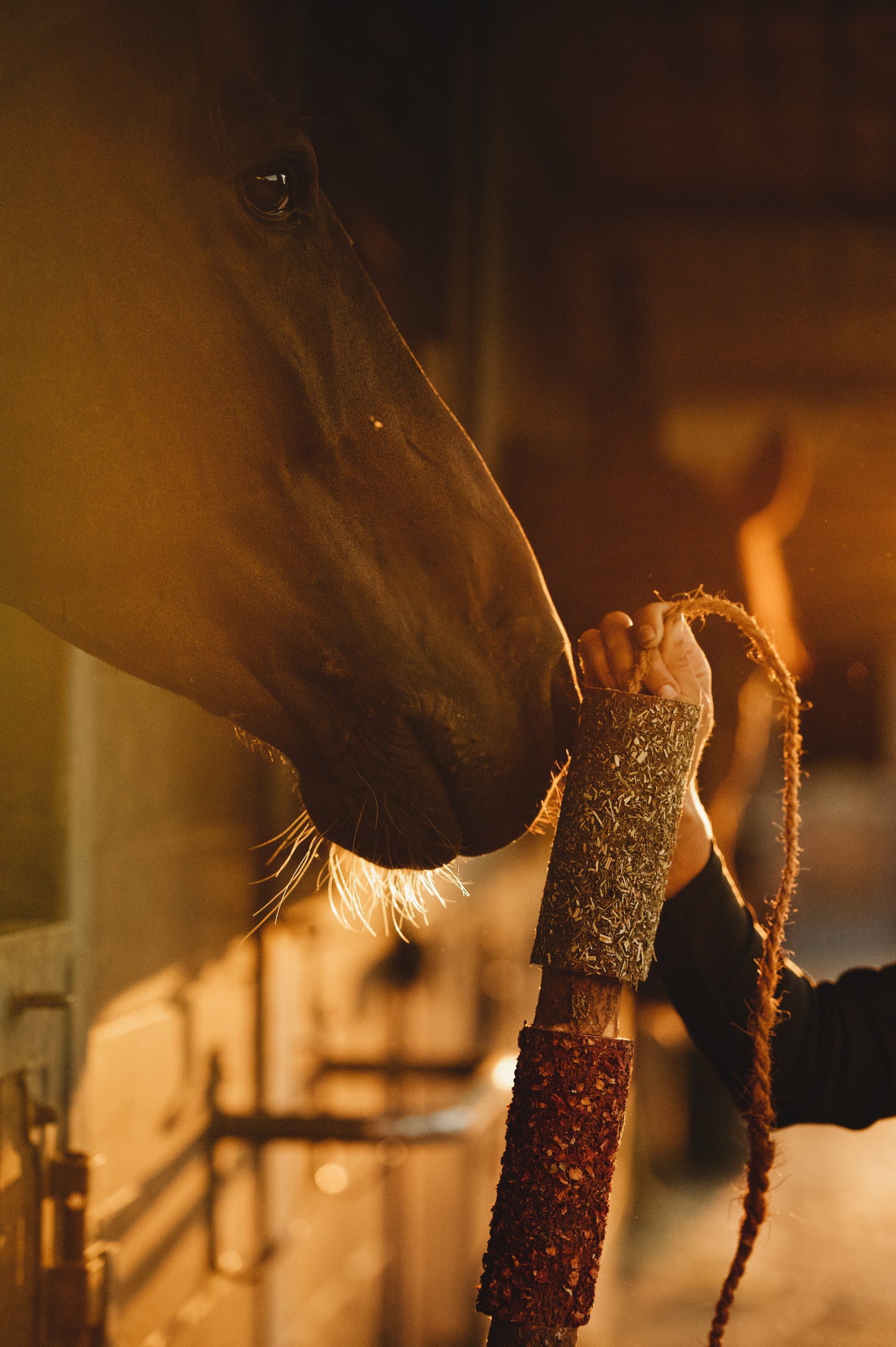 Herbi Horse - Houten speeltouw met kruiden (diverse)