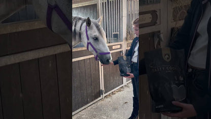 Excellent Horse - Ambachtelijke Paardenkoekjes Appel 500g