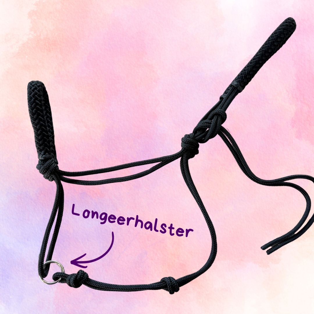 Het Paardenatelier - Longeerhalster Touwhalster ‘All Black’ zwart/zwart