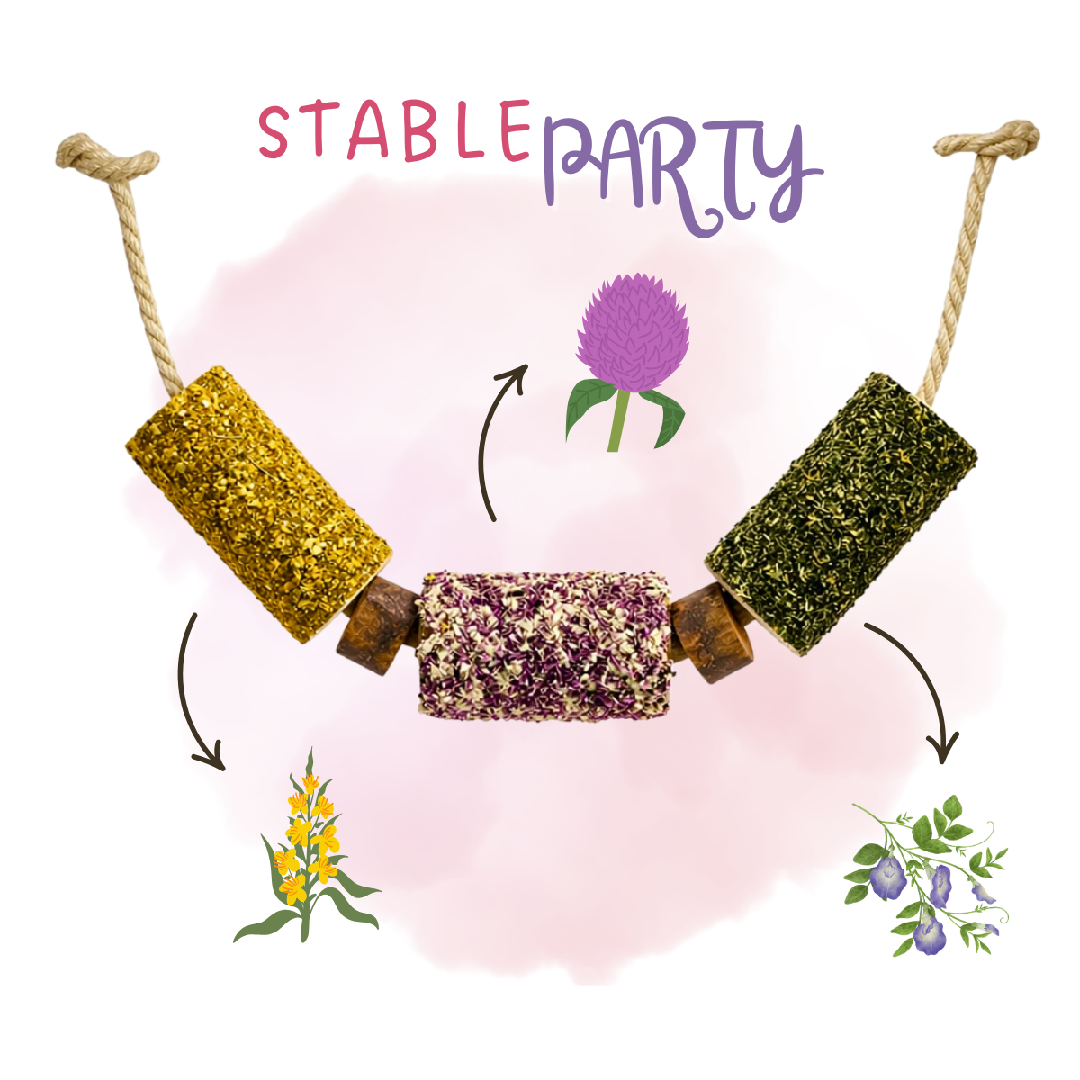 Herbi Horse - Cuerda de juego de madera "Stable Party"