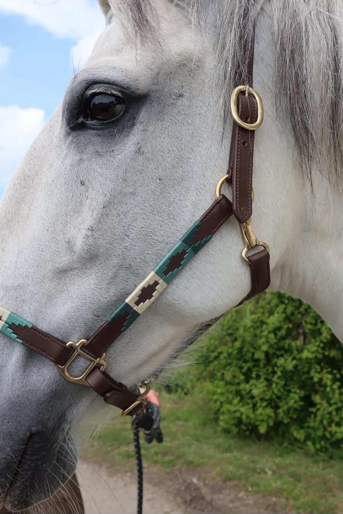 FMH - Licol polo en cuir Havana « Polo Vaquero Seafoam » émeraude/beige