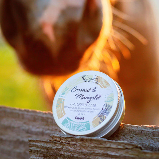 Pippa - Coconut &amp; Marigold calendula balm