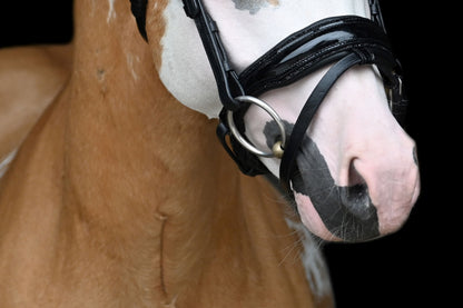 HB - Hoofdstel Showtime 366 Special A-PONY Evalira incl. teugels (div. kleuren)