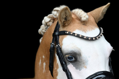 HB - Hoofdstel Showtime 366 Special A-PONY Evalira incl. teugels (div. kleuren)