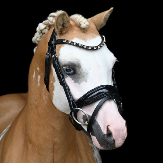 HB - Testiera Showtime 366 Special A-PONY Evalira incl. redini (varie colorazioni)