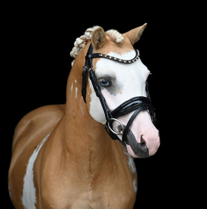 HB - Hoofdstel Showtime 366 Special A-PONY Evalira incl. teugels (div. kleuren)