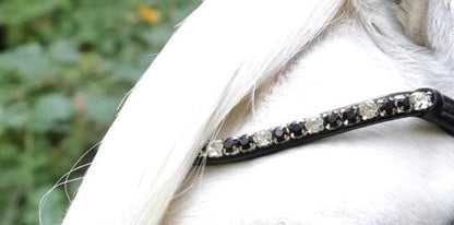 HB - Hoofdstel Showtime 366 Special A-PONY Evalira incl. teugels (div. kleuren)