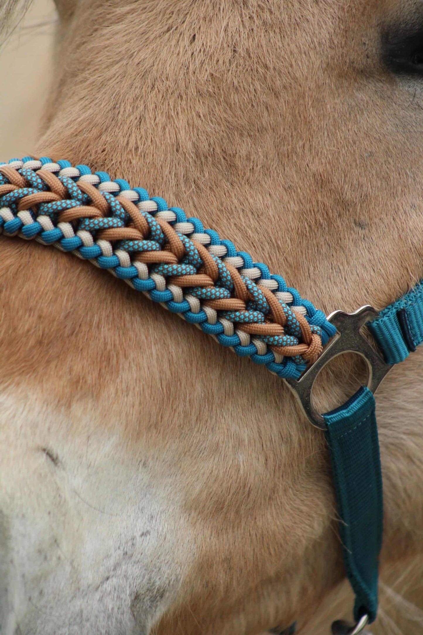 Handmade Horse Halters - Knotted Halter 'Teal Treasure' emerald/teal/caramel