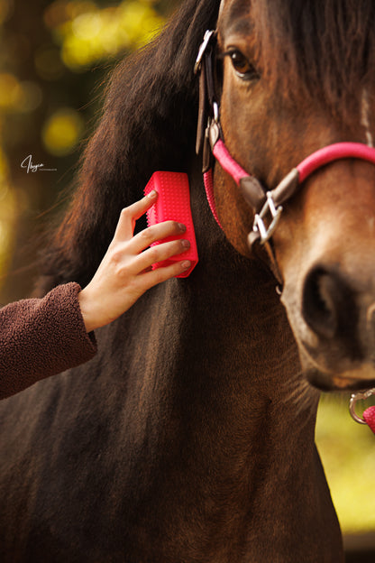 CleanYourHorse - Bloc de toilettage Soft Touch Brosse de dépilation