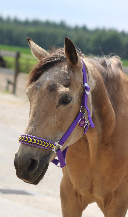 Freni per cavalli fatti a mano - Capestro annodato ‘Followmyhooves’ viola/giallo