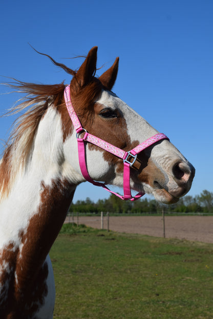 Happy Halsters x FMH - Pink Cowgirl Exclusive halter various colors
