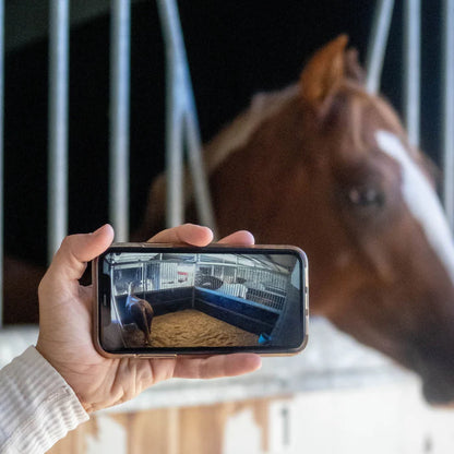 Equine Eye - Stall- und Weidekamera Vision (4G Kamera)