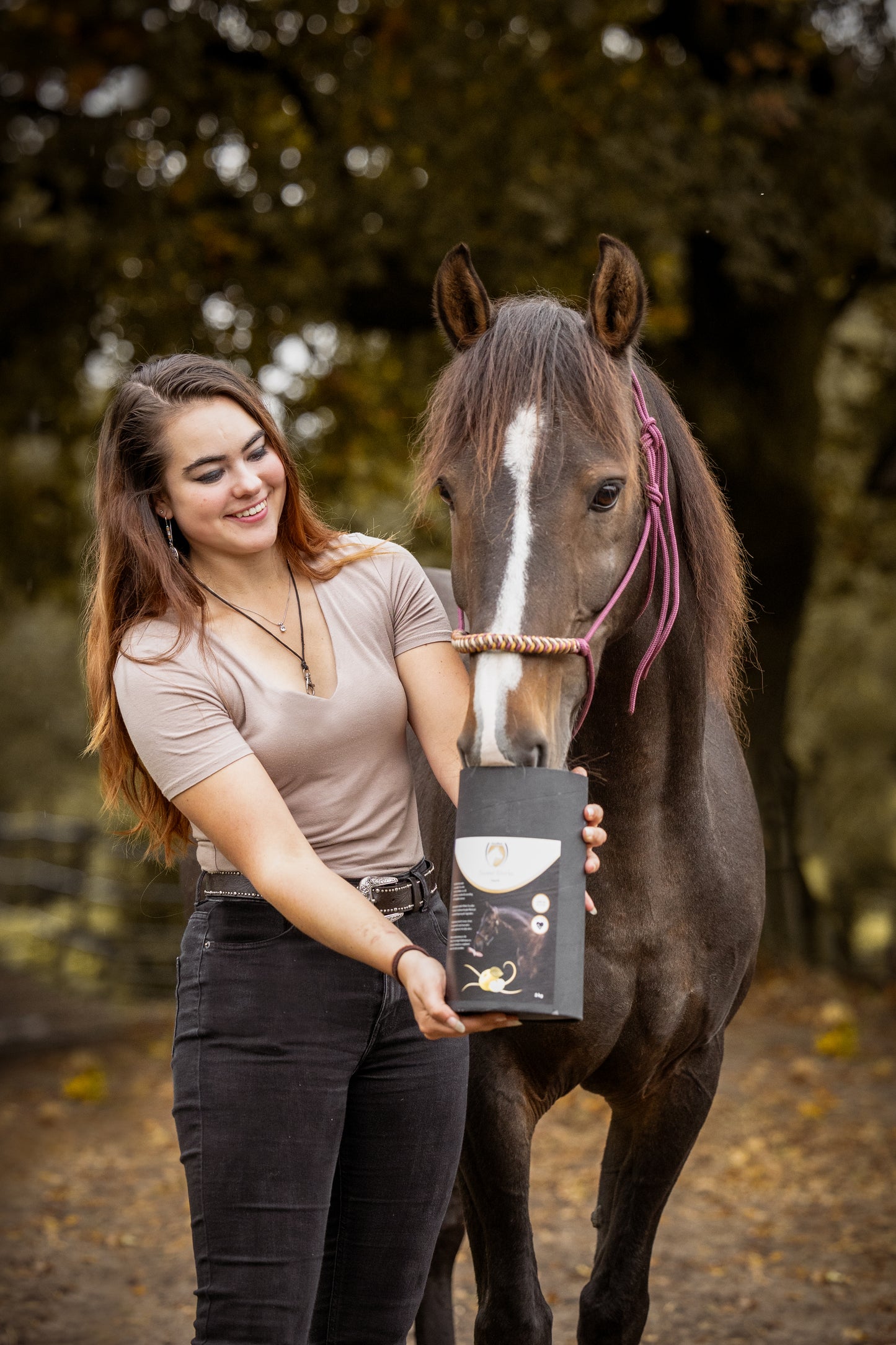 Excellent Horse - Sweet Blocks 3KG (diverse)