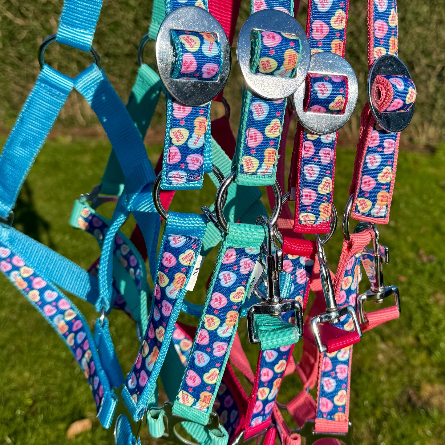 Happy Halsters x FMH - Cavezza Sweetheart Exclusive vari colori