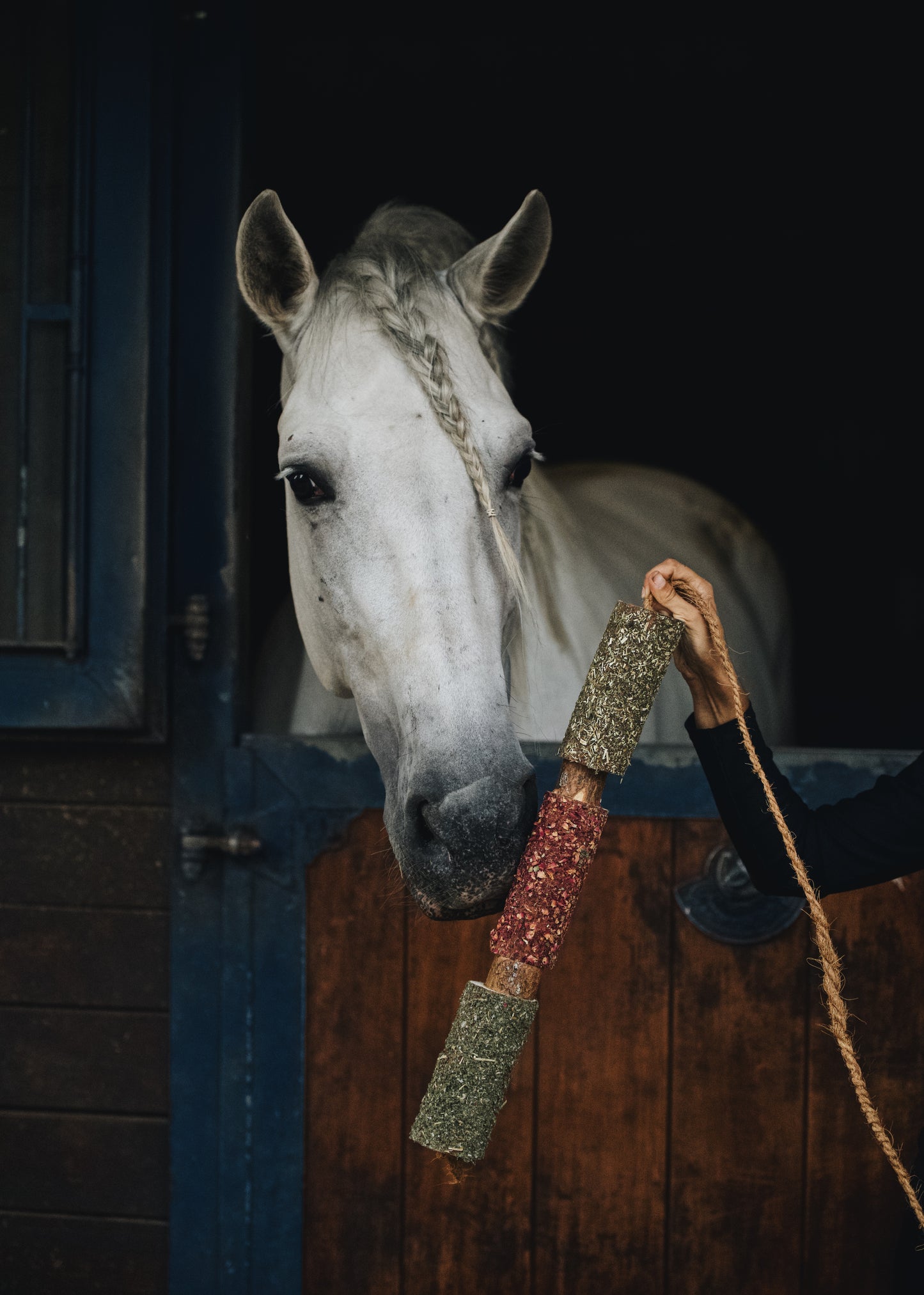 Herbi Horse - Houten speeltouw met kruiden (diverse)