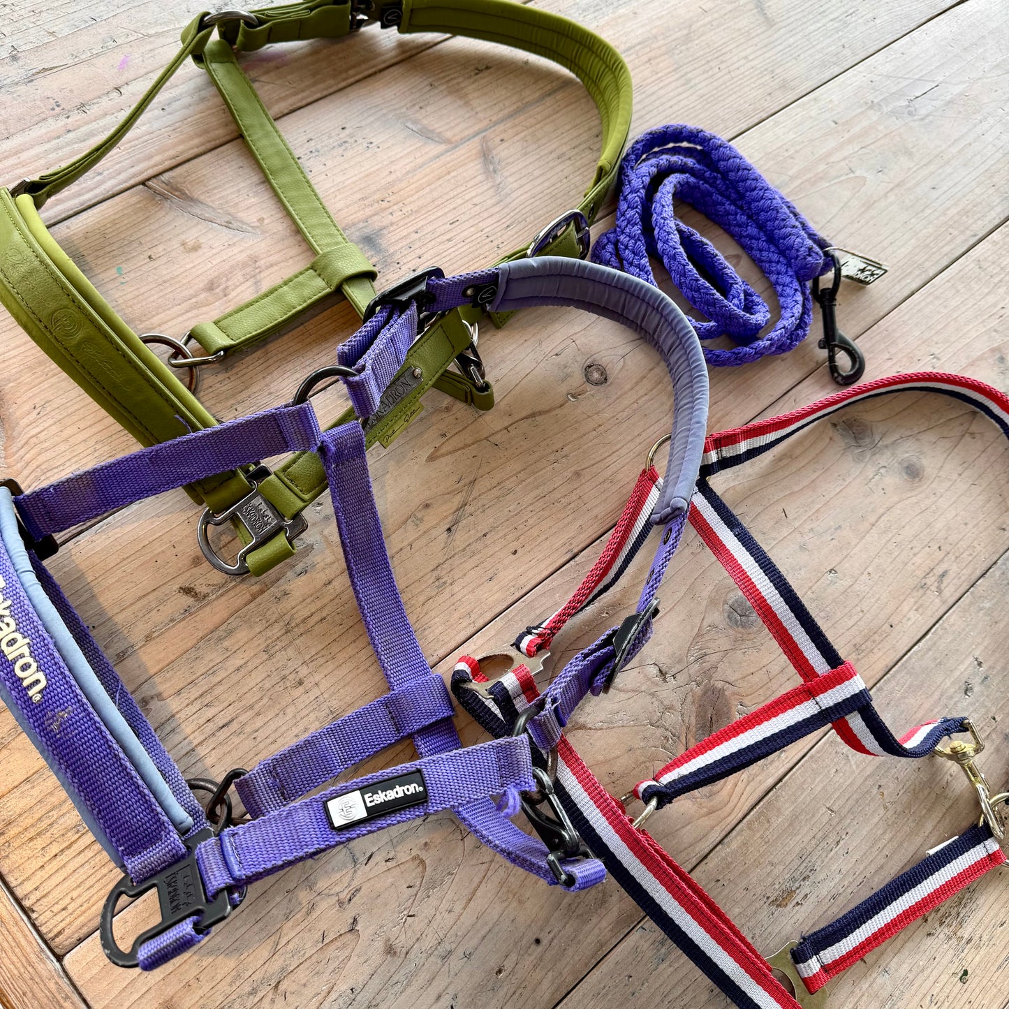 S0013 - 3 Halster en 1 halstertouw, Eskadron en QHP Cob