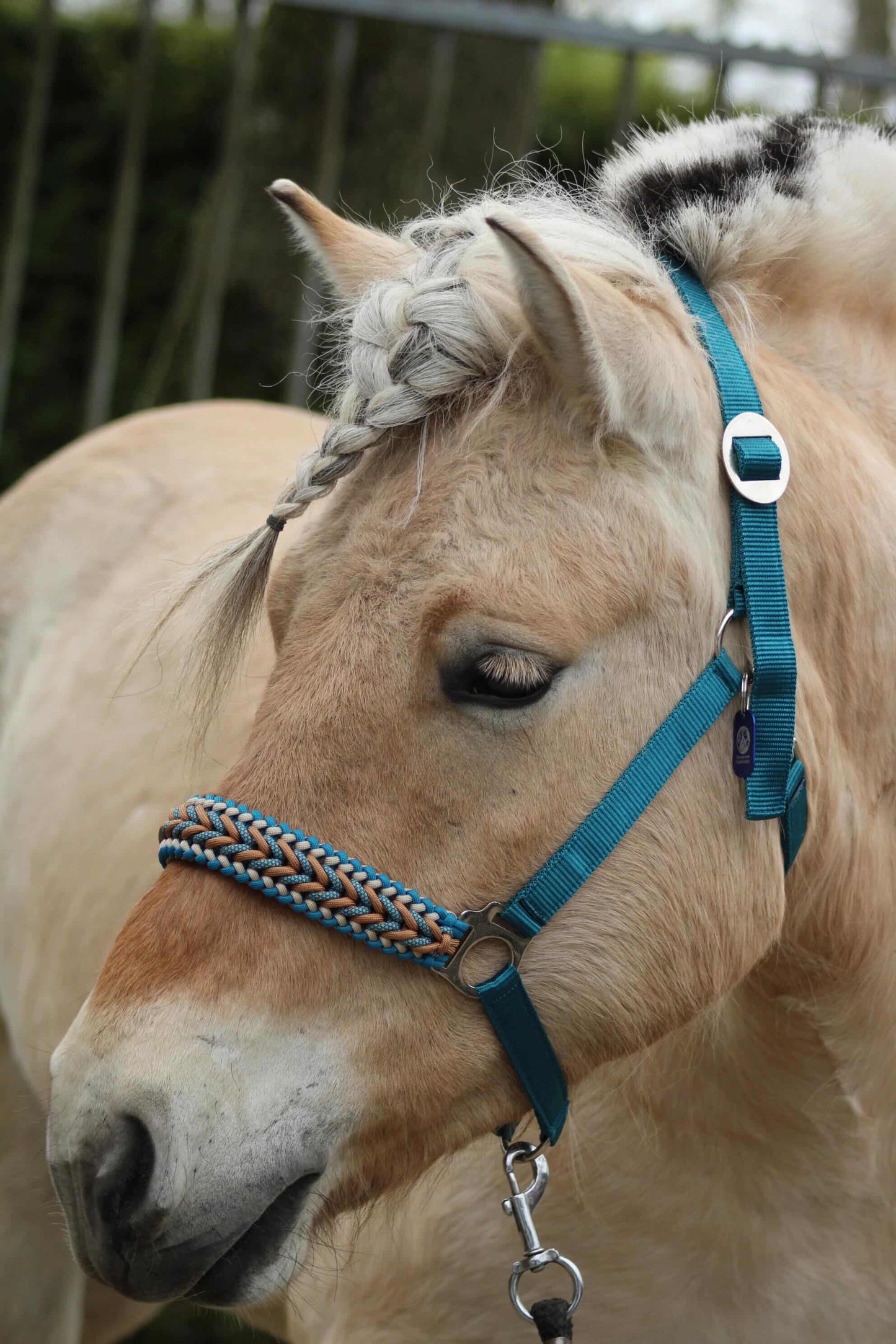 Handmade Horse Halters - Knotted Halter 'Teal Treasure' emerald/teal/caramel