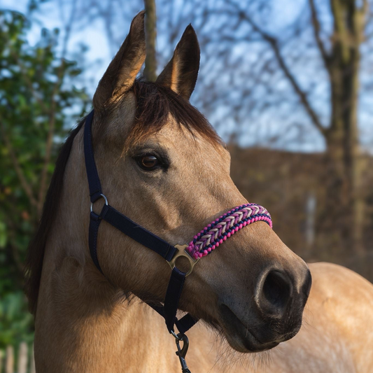 Handgemaakte paardenhalsters - Geknoopt halster ‘Bestie’ donkerblauw/ roze