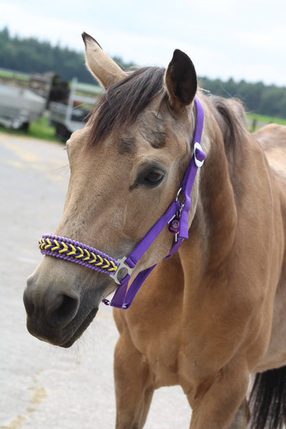 Freni per cavalli fatti a mano - Capestro annodato ‘Followmyhooves’ viola/giallo