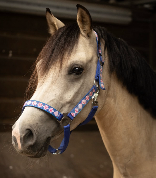 Happy Halsters x FMH - Love is Love Exclusive halter, various colors