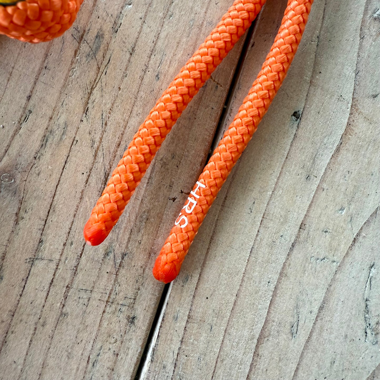 Horse Rope Shop - Nila 'Just Do It' rope halter, orange/green/yellow